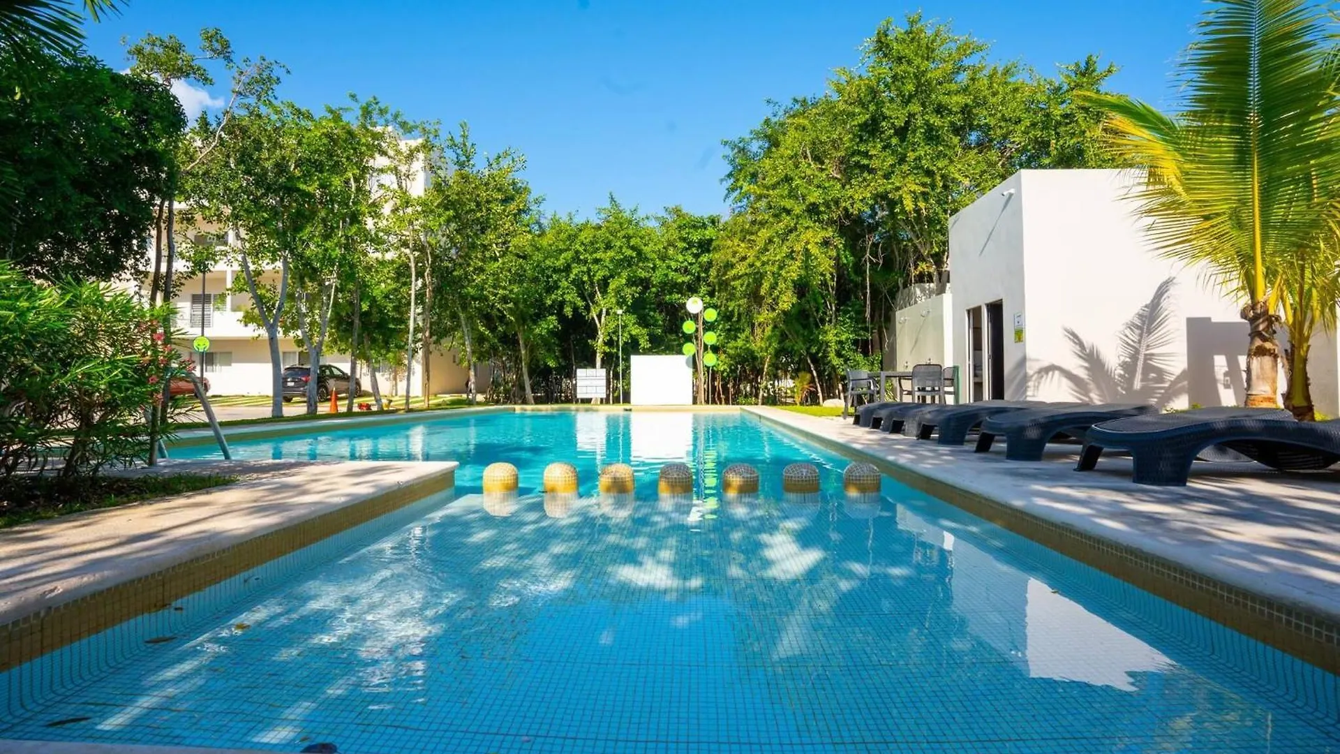 Luxury Apartment With Poll 普拉亚卡门 墨西哥
