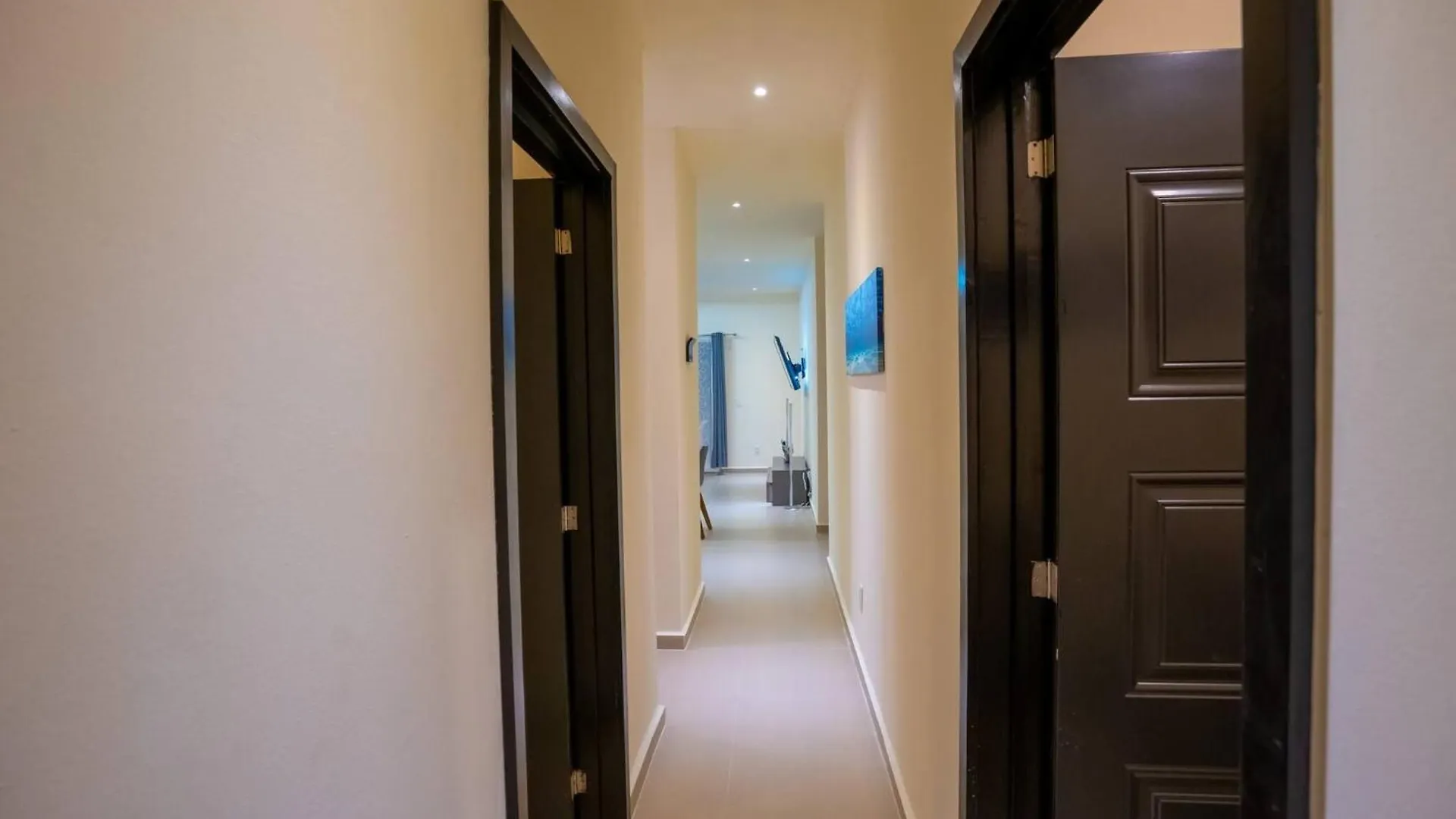 Luxury Apartment With Poll 普拉亚卡门